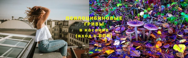mdpv Армянск