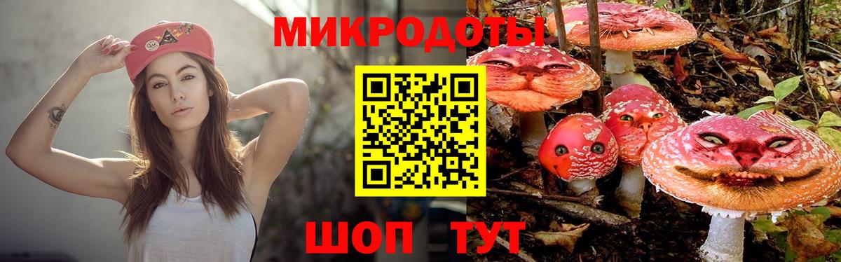 Галлюциногенные грибы Psilocybine cubensis Коломна